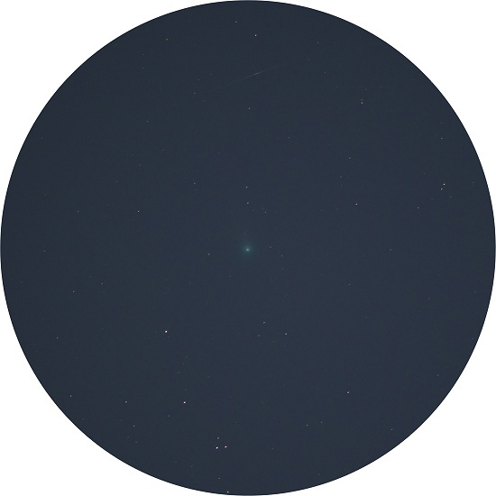 ラブジョイ彗星イメージ.jpg